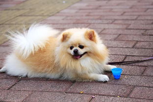 狗年开公司？这些奇葩起名套路笑死个人