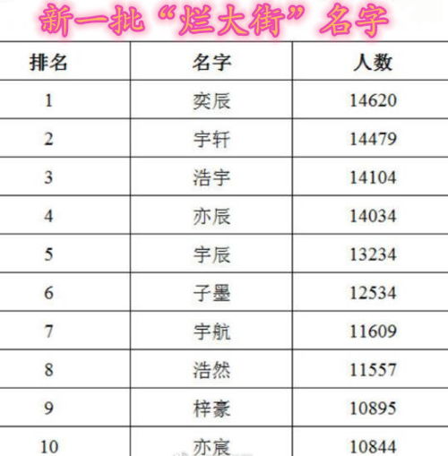 3.2 奇葩名字大赏