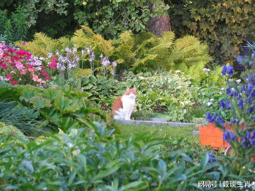 韭菜=想钱想疯了？