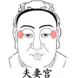 夫妻宫丁亥日柱与已丑日柱婚姻是否和谐？