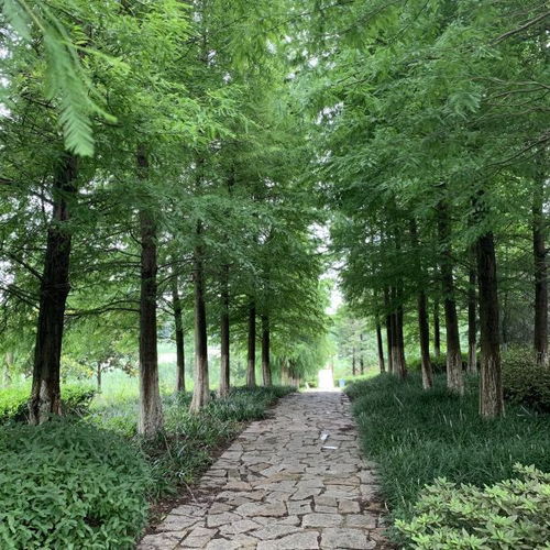 二、 惯与那个让人抓狂的“免费”传闻