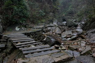 震惊！山重水复景区偷偷搞事情！2026年属蛇的人必看！