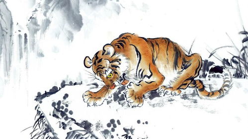 2026年属虎女贵人运和桃花运具体表现如何？