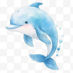 海豚图片对应的生肖年是什么？海豚属什么生肖有何含义？