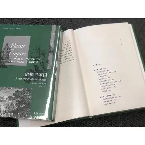 一、  取名学的起源与进步