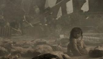 2．飞禽昆虫集体聚集与迁徙行为