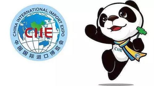 那一天的阳光与命运