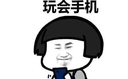 二、  生肖与星座元素在网名构建中的文化映射