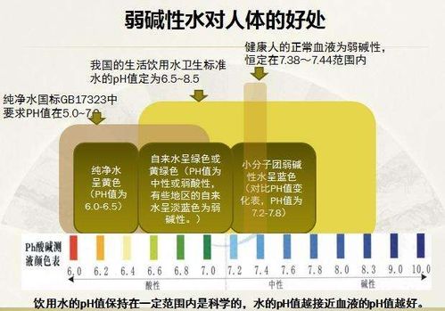 2. 作恶减寿案例解析