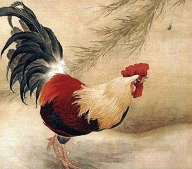 2026年属鸡的人会犯太岁吗？如何化解太岁影响？