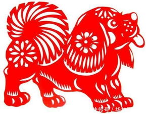 生肖日运中的运字指的是哪个生肖的运势？