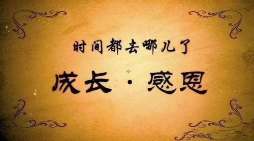 顺其自然：减少对抗与内心的平静