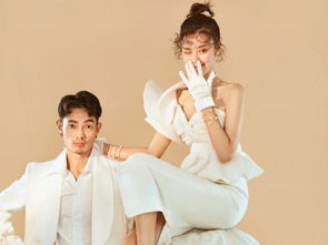 高姿态挽回的适用前提