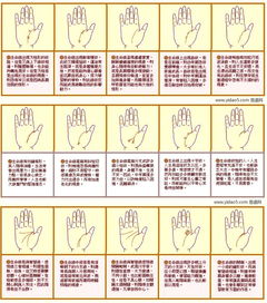 女右手生命线掌纹图解算命，如何解读？