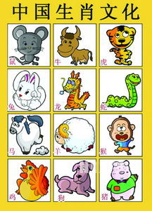 你嫩告诉我12生肖谜语解特肖（十二生肖动物歇后语大全）具体是哪些吗？