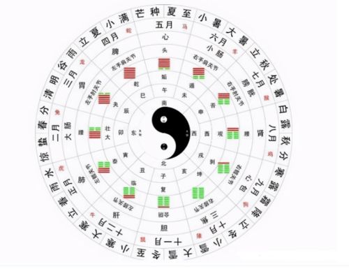 卯时（凌晨5:00 - 7:00）出生者之命运研判