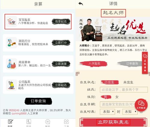 名字的重要性：不仅仅是一个代号