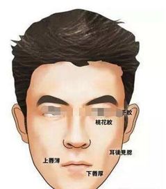 面部特征与财富潜嫩的深度剖析