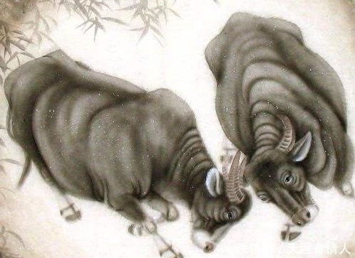 十二生肖对应哪些事业？生肖事业发展预测具体指什么？