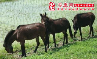 关于农耕文明的影响