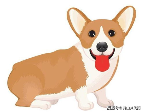 1）情感互补机制