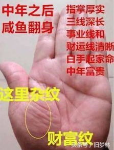 手相大拇指藏宝纹预示好命运，能改写命运吗？
