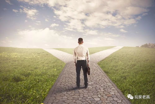 猴：机智灵活下的创新求变