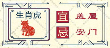 2026年2月12日今日特吉生肖运势，属兔者今日吉日