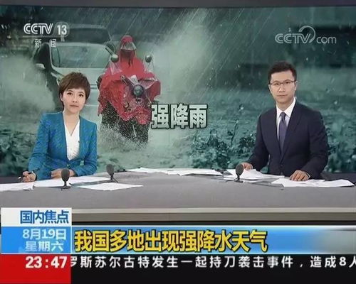 四、 社会舆论与群体行为观察