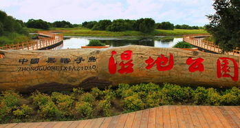 二、 那些年我踩过的坑：亲历者的血泪史