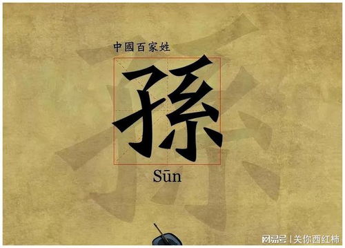 一、 先抛砖引玉——随手抓几个常见的“孙+字”组合