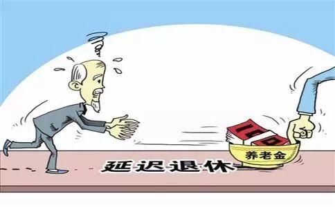 多方求证者：信息过载导致的认知失调