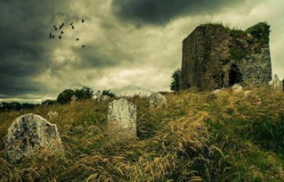 3. 朱雀前位——整体光明指向