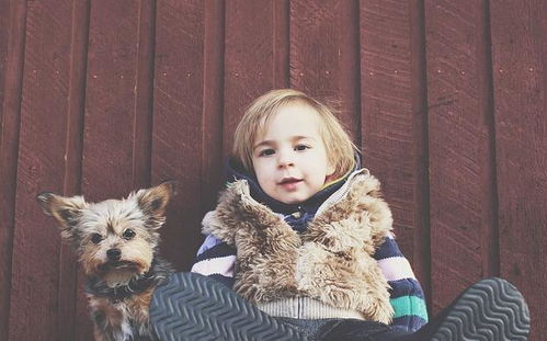 一些尝试（真的只是尝试）