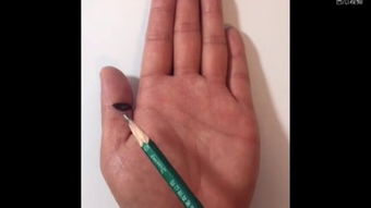 翁向宏手相分析中，翁向宏老师的手相特点有哪些？