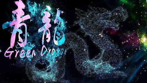 3.1 夜间灯火维持及平安防范措施