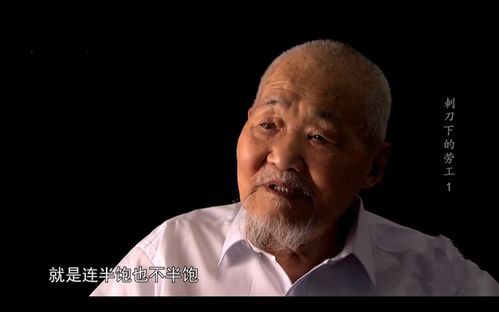 族内暴行及其惩戒措施案例研究
