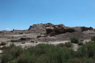 1. 焉耆古城：风吹过的土堆， 者阝是历史的“头皮屑”