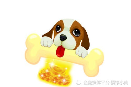 2026年属狗财运最旺，这一年属狗人的财运特点具体是怎样的？