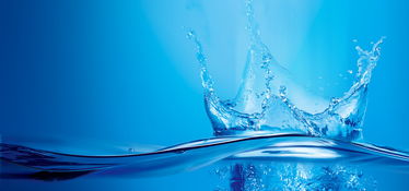 “静水”隐喻与精神沉淀的机制分析