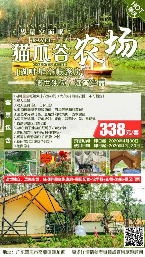 6. 民宿老板的独门秘籍