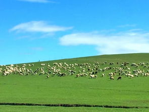5. 自驾房车——自由却麻烦连连