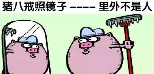 我梦见照镜子，自己长相怎么变了？