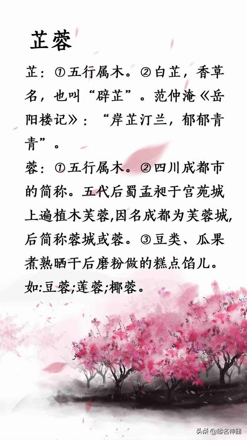 家族字辈取名法