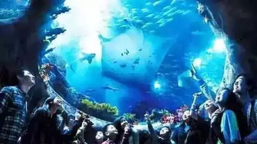 海底宫殿中的歌声传说及其宿命性探究