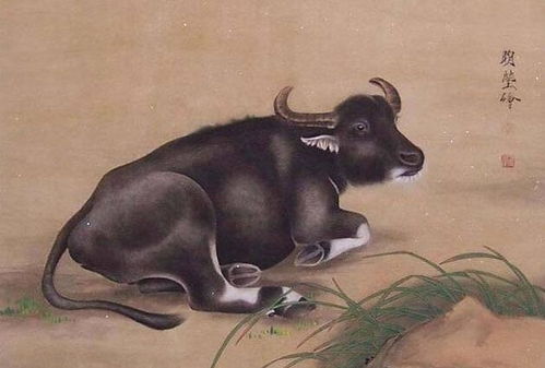 哪个生肖的动物最忠诚，最忠诚的生肖有哪些？