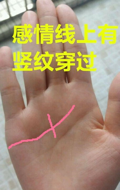 三、冒险型好帮手