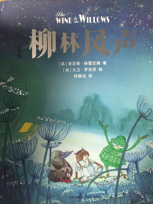 二、 现象背后有可能的文化底蕴与心理状态学因素解析