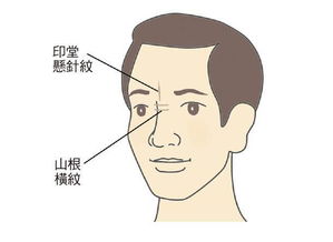 五、  鼻部与下嘴唇伤痕：财富积累与生理机能的隐忧