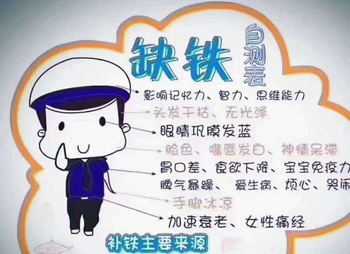 豪迈与坚韧的特质